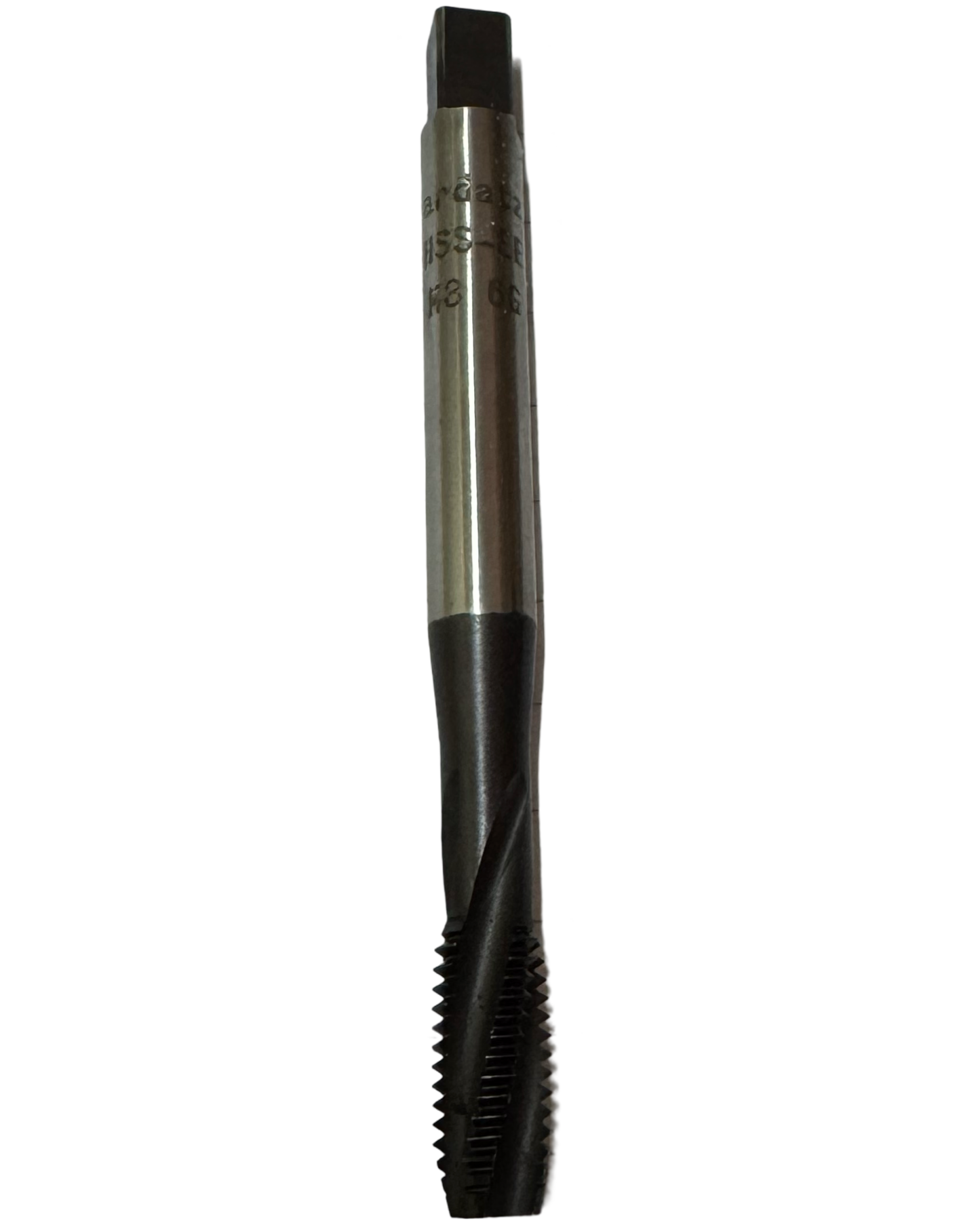 دكر قلاووظ 8مم حلزونى كوبلت اسبانى